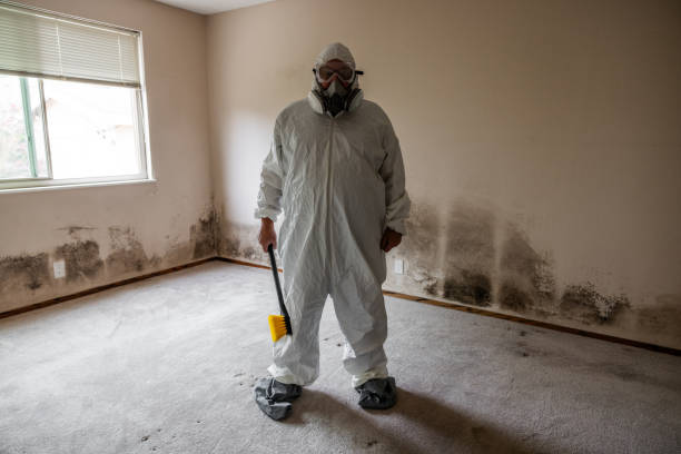 Professional Mold Removal in Hapeville, GA